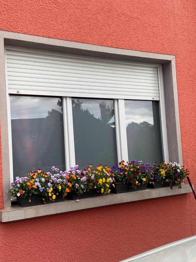 Ferienwohnung Couleur Framboise Longwy Exterior foto